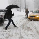 Turning Red 이미지