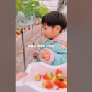 성빈농장 이미지