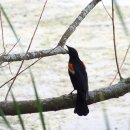 일도세탁소 이미지