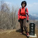 금병산(金屛山)~김유정(金裕貞)생가~김유정역 레일바이크(강원도 춘천)2013년4월21일 이미지