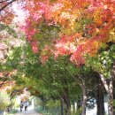 언제나 미안합니다 이미지