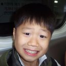윤진 Daum카페