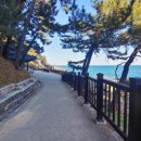 라이프렌트카 | 의정부 렌트카 쏘카 - 강원도 여행 렌트카 이용 후기