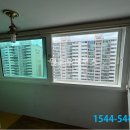 삼일무지개 이미지