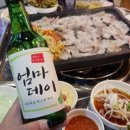 오징 이미지
