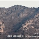 외송중앙길 Daum카페