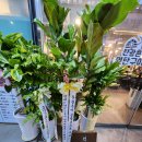 탄광촌 연탄구이 이미지