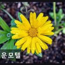 명운모텔
