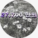 녹번-010 이미지