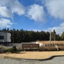 메밀마을 | 제주 메밀 맛집🌿한라산 아래 첫 마을 다녀온 후기
