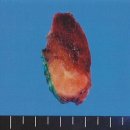 인천어바웃유외과의원 이미지