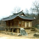 쌍수1리 Daum카페