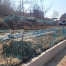 진선미부동산공인중개사사무소 이미지