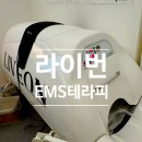 네일아트 테라피B | 【용인】슬기로운네일 하이푸스 기흥구청점 EMS 에너지 테라피(+이달의 아트)