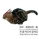 인디밴드 취향상점 공연 | 대만인디밴드 붐은 온다 26. 대만 골든인디뮤직 어워즈 2025 GIMA 시상식 라이브 후기 (3)