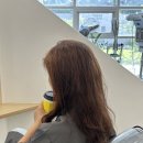 보스헤어 이미지