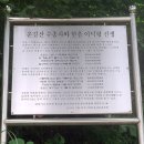 양평 운길산 수종사(水鍾寺), 보물 2점(부도, 석탑)과 540살 은행나무, 범종소리 울려 퍼지는 최고 정취...