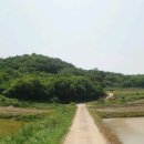 금과면사무소 이미지