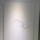 나무(NAMU) 이미지