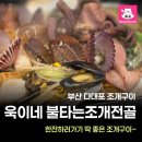 욱이네초장 | 부산 다대포 욱이네 불타는 조개구이 조개전골 후기