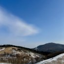 대관령마켓 | 대관령 양떼목장 겨울데이트