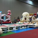 백호태권도 이미지