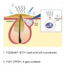 귀 뒤를 안 씻는 남자들 (텍혐주의) 이미지