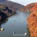 풍차언덕관광펜션 이미지