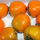 냉천농장 이미지