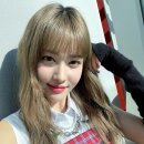 오늘염색 이미지