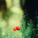 마음오름심리상담센터 이미지