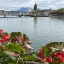 스위스랜드 이미지