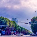 풍경버스 이미지