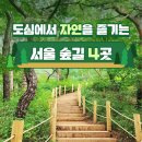 서울숲길 이미지