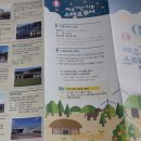 느영나영고치 이미지