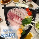 고래등횟집 | 광주 부모님 첫인사 룸식당 추천 방어,참돔유비끼회 코스요리 금호동 고래횟집 내돈내산 후기