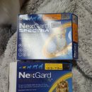 사나약국 이미지