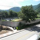 무릉리-7 이미지