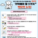 본 동물 건강검진영상센터 이미지