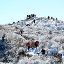 오름푸드 경북 이미지