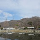 11620-5-14-6 | [충북 충주] 이른아침 캠핑장 - 타프존 14번 사이트 애견동반 캠핑후기 (2026년 4월 4~6일, 95번째 캠핑)