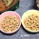 장속농장 이미지