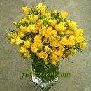 후리지아 이미지