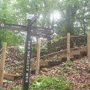 에코랜드수영장 다목적구장 이미지