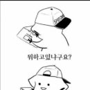 실내야구사격 이미지