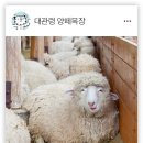 동선2목장 이미지