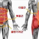 잇서블짐 이미지