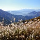 예솔이네집 이미지