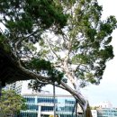 종로-종로-종로-종-127 이미지