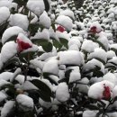 거제기상관측소 이미지